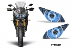 Head Light Eye Graphics for 2009-2015 Yamaha FJ, Many Designs to Choose from!