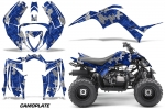 Yamaha Raptor 90 Quad ATV Graphic Kit 2016-2023